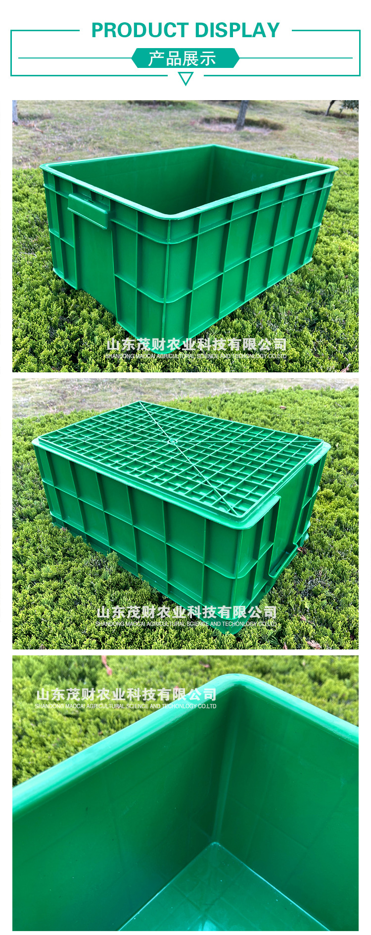 綠色高效，從一箱優(yōu)質(zhì)花生芽開始——廠家直銷水培箱解析