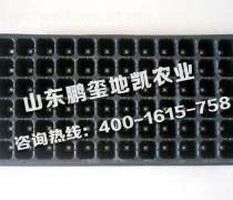 育苗盤 從實(shí)用工具到農(nóng)業(yè)美學(xué)的綠色革命
